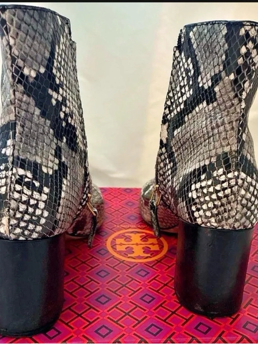 Tory Burch Snake-Print Block Heel Ankle Boot - Black & Cream